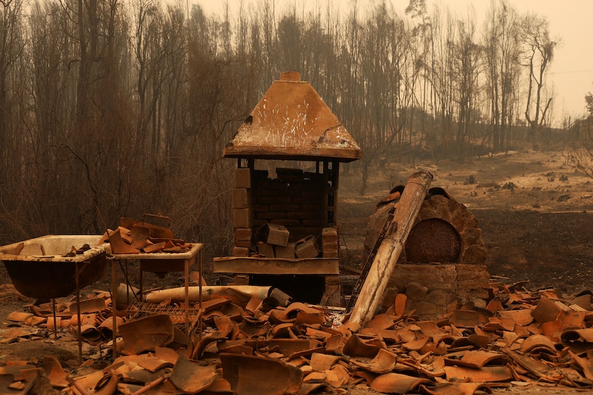 Remains of a house in front of a charred forest.