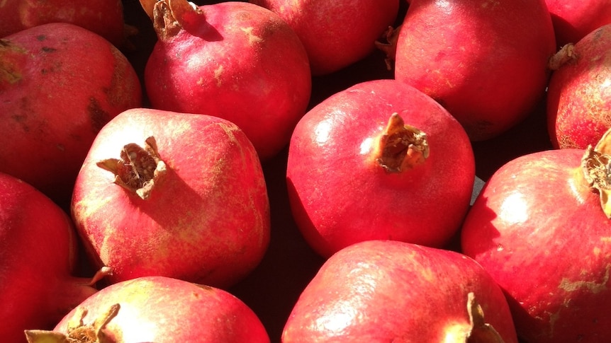 Pomegranate growers in a pickle