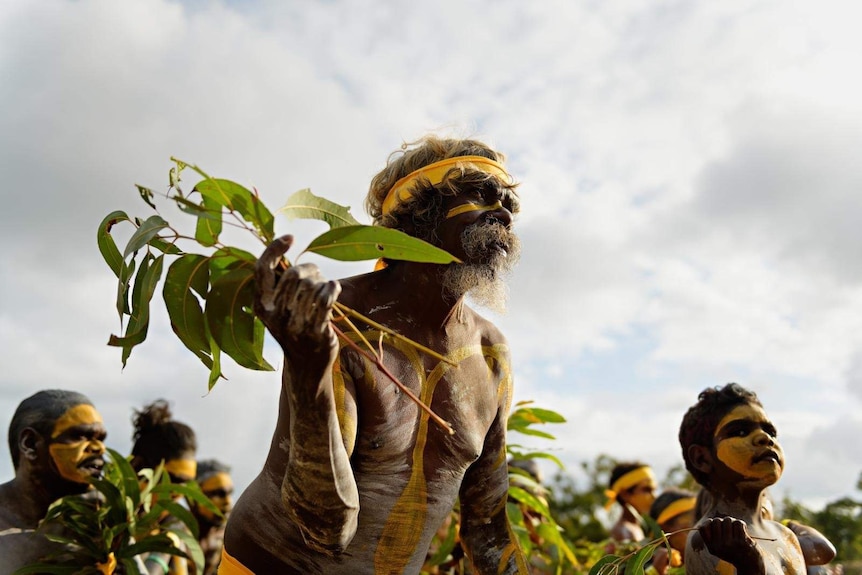 Dancers wearing body paint and yellow headband dance while holding eucalyptus leaves.