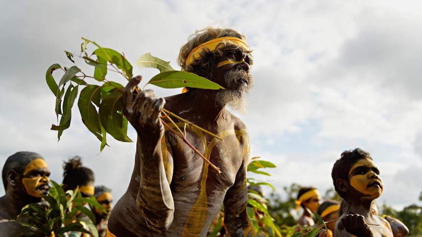 Dancers wearing body paint and yellow headband dance while holding eucalyptus leaves.