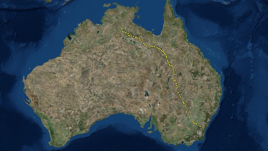 The little eagle's flight path from Canberra to Daly Waters.