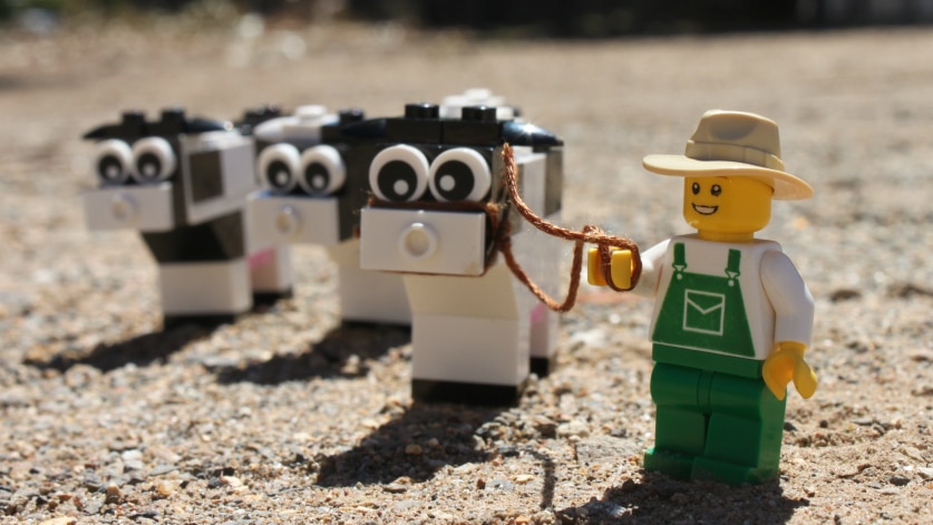 Aimee Snowden's farmer LEGO creation