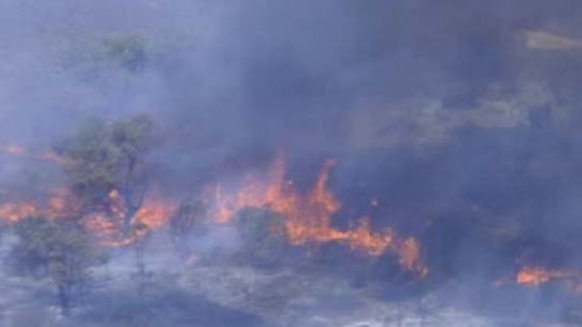 A bushfire at Success has flared again.