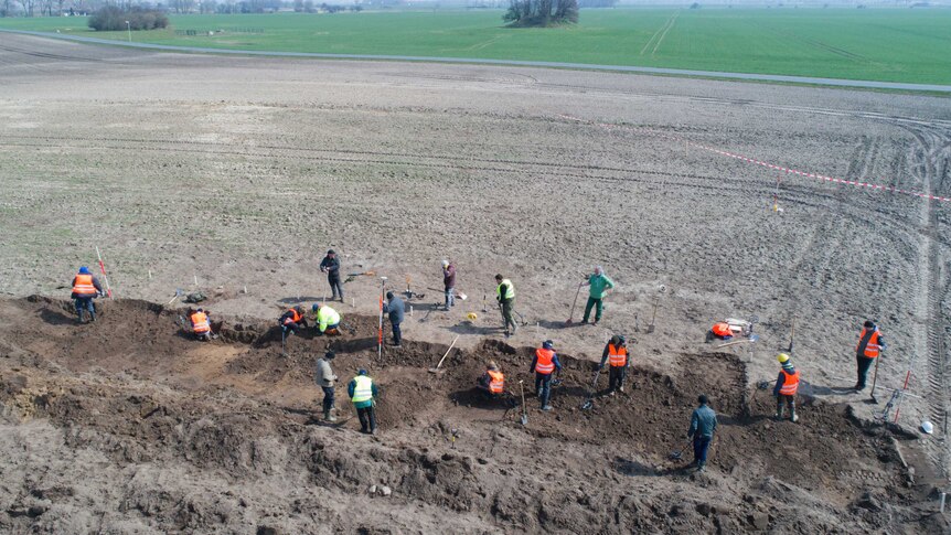 Birds eye view of people digging and using their metal detectors on a field.