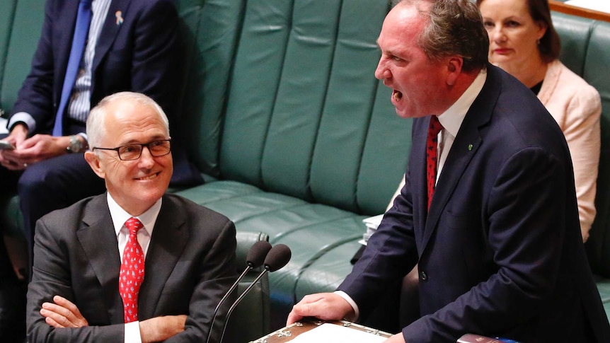 A red-faced Barnaby Joyce yells into the microphone in Parliament as Prime Minister Malcolm Turnbull looks on with a smile
