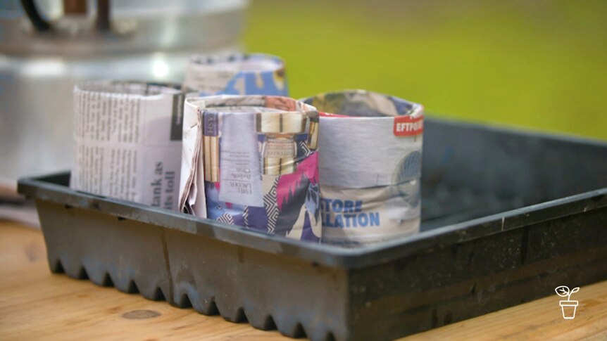 Tray with pots made from newspaper