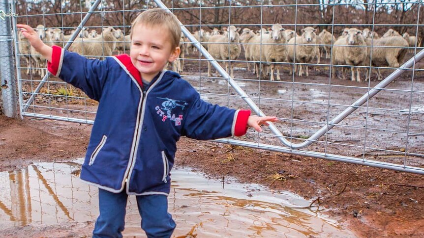 A young boy jumps in a puddle, watched by a mob of sheep