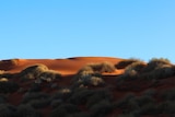 A dune in the Simpson Desert