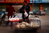 A man plucks a chicken he just killed on top of a cage full of live chickens at a street market.