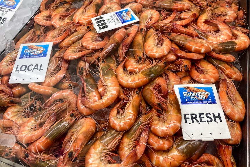 A tray full of prawns for sale