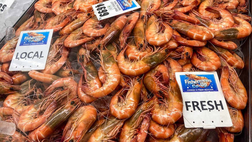 A tray full of prawns for sale
