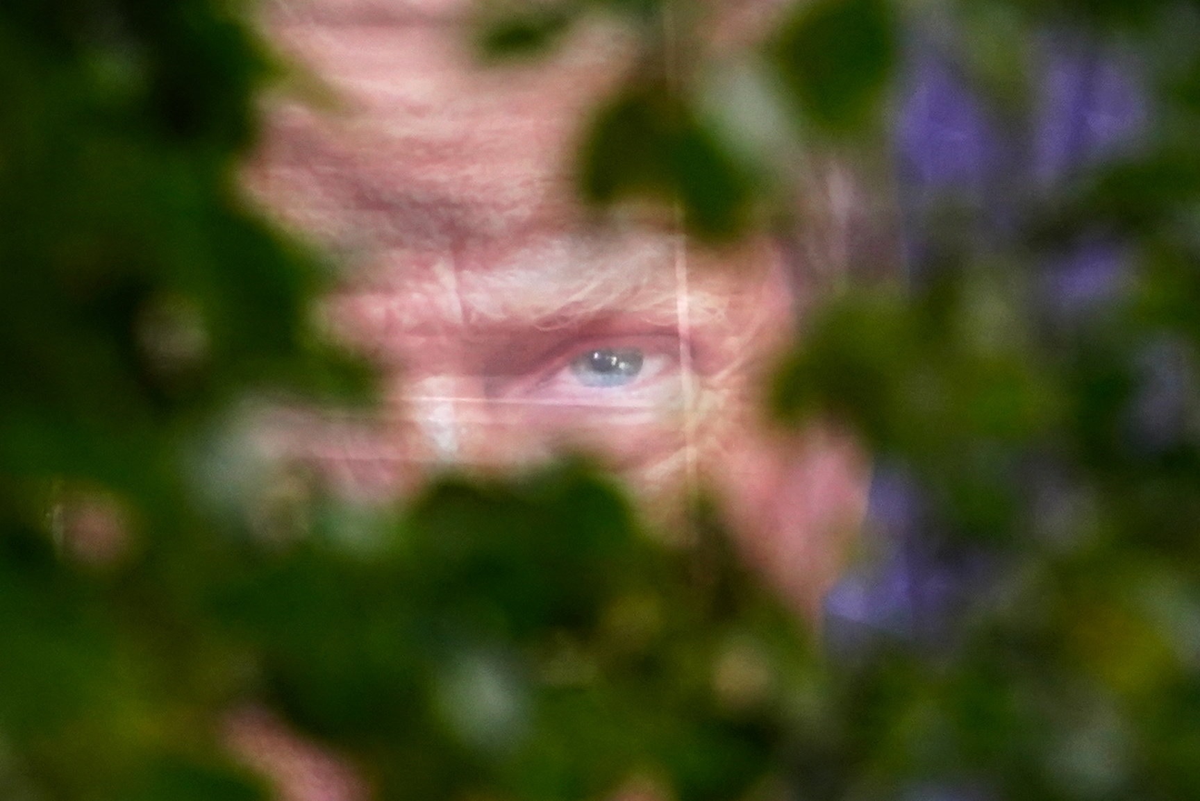a banner of a painting of donald trump, shrouded by trees appear as if his eyes are looking through the leaves.