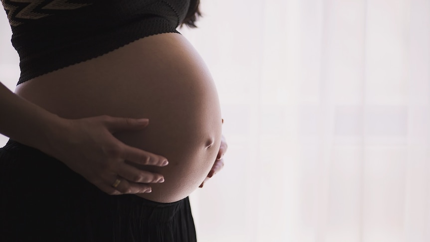 Pregnant woman holds her belly, white background.