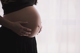 A pregnant woman holds her stomach, white background.