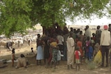 A group of South Sudanese people stand under a tree with cattle in the background.