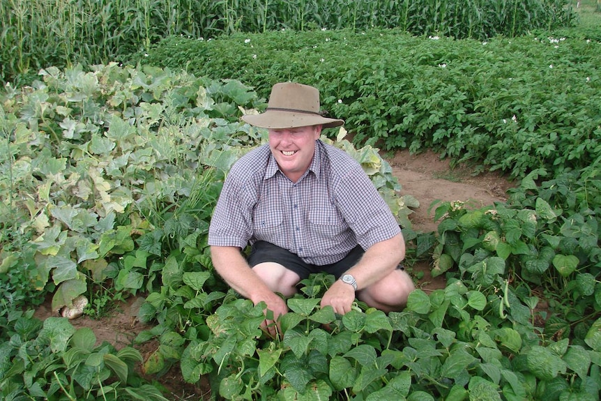 A man crouches down in front of plants