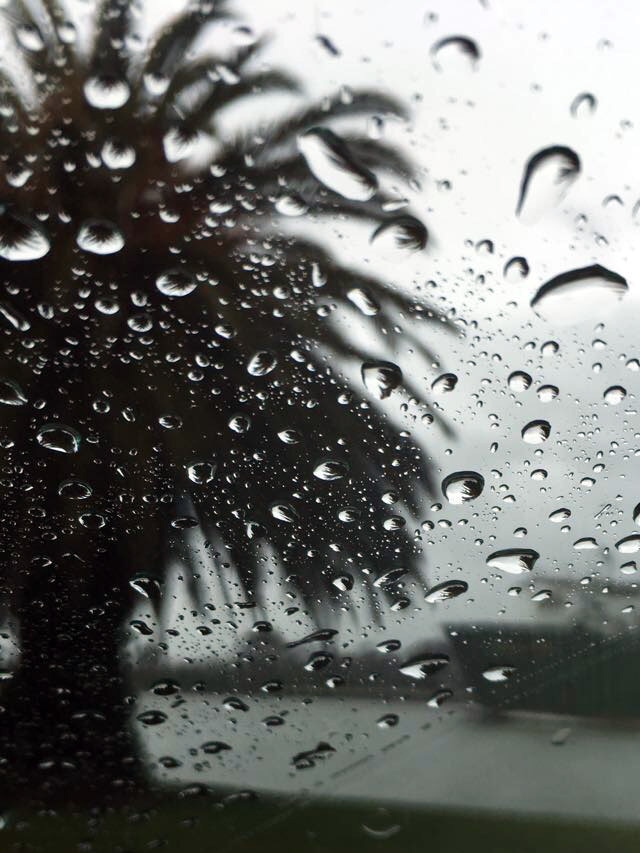 Rain on a car window