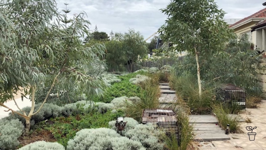 Australian native garden with timber pathways and rusted metal sculptures