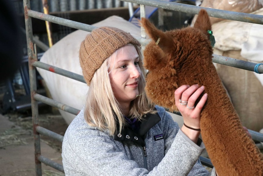 Animal science student Imogen Boughey sits facing an alpaca.