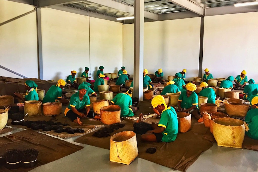 A group of people dressed in green with yellow head coverings sit working with baskets of vanilla pods.