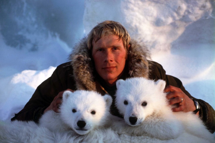 man with polar bear cubs