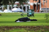 A person sleeping wrapped in a blanket in the middle of a grassy reserve, city streets and cars in the background