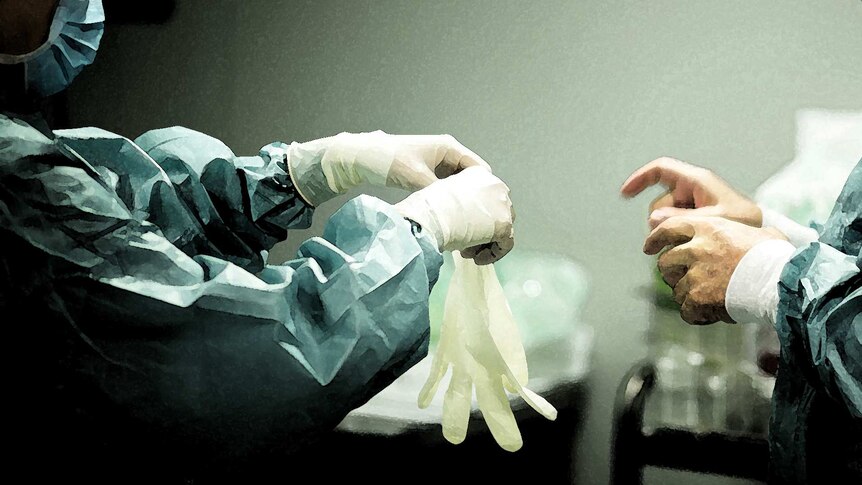 A person in surgical scrubs, mask and gloves hands a pair of gloves to another person in scrubs without gloves on.