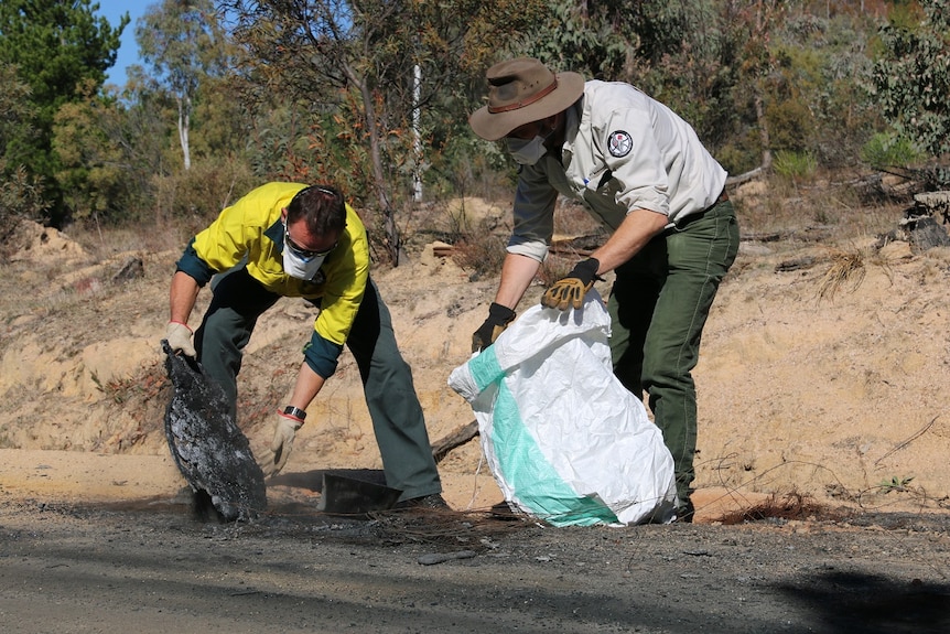 Two men work to clean up burnt ground.