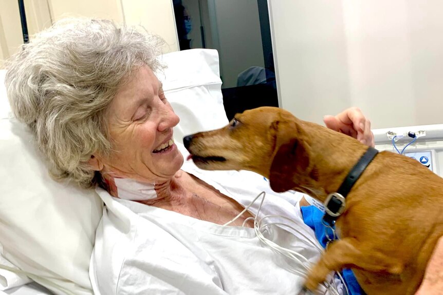 A woman in a hospital bed smiling with a dog.