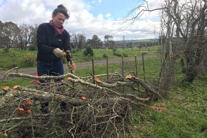 Woman hammering stake into fence made of sticks.