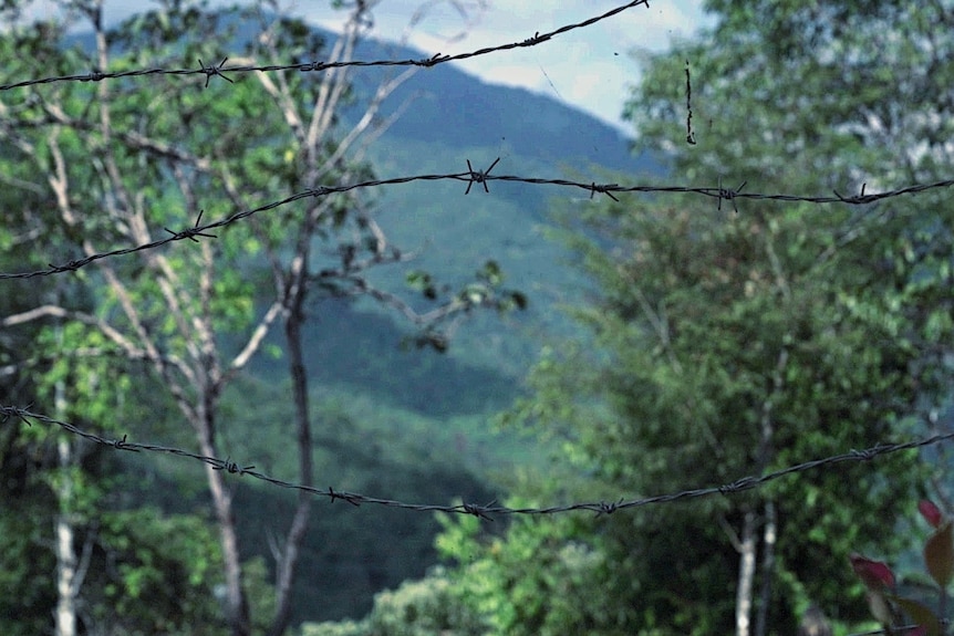 Two sections of barbed wire with blurred tree covered mountains in the background