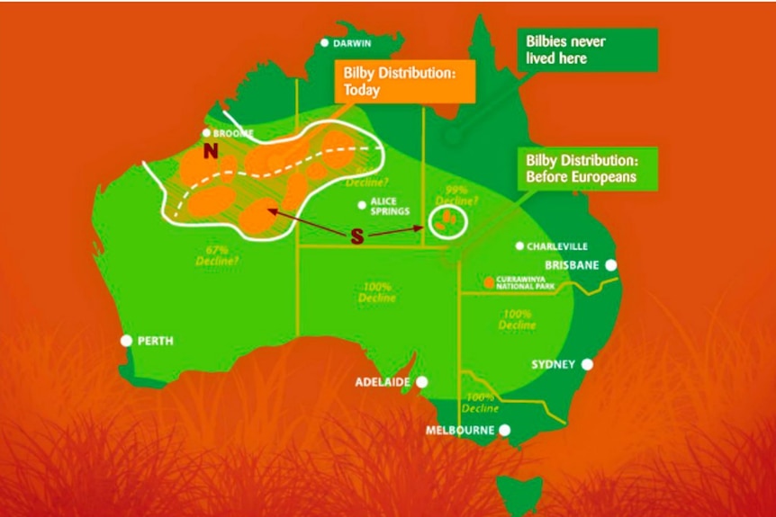 A map showing where the bilby population is across Australia.