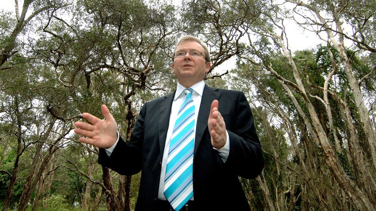 Kevin Rudd says there will not be any more protection for Tasmanian old-growth forests if Labor wins power at the next election. (File photo)