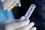 a person wearing white gloves and a blue gown holds up a coronavirus test