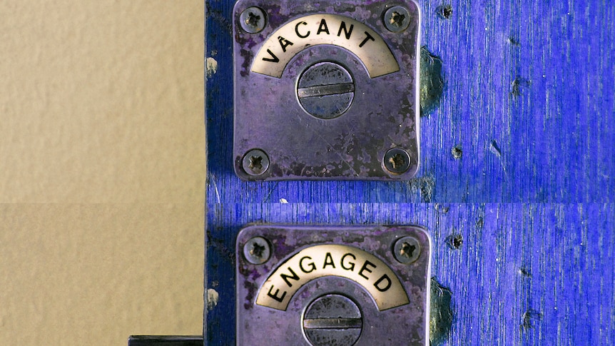 an old stall door with a vacant and an engaged lock.