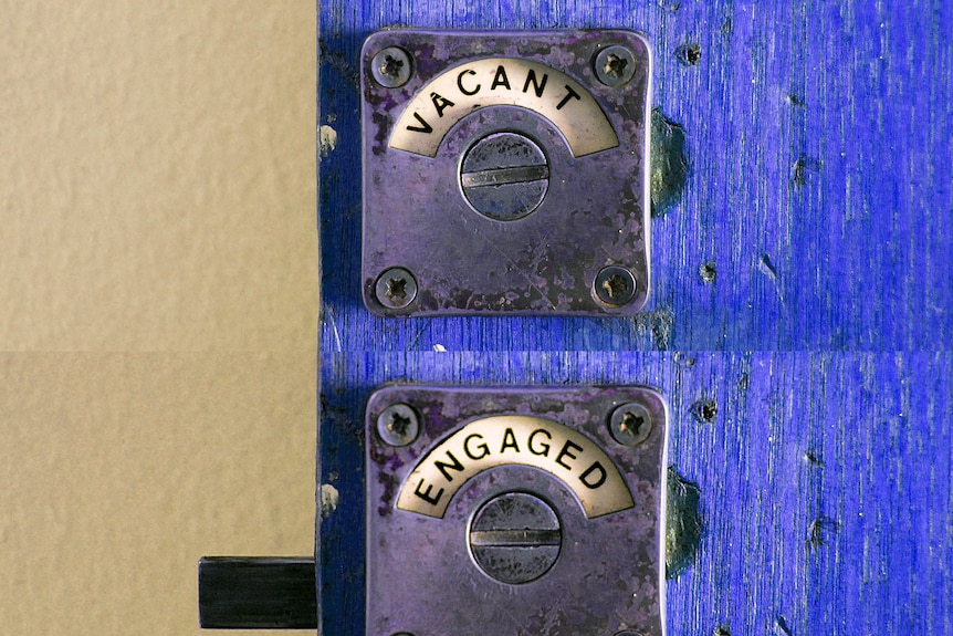 an old stall door with a vacant and an engaged lock.