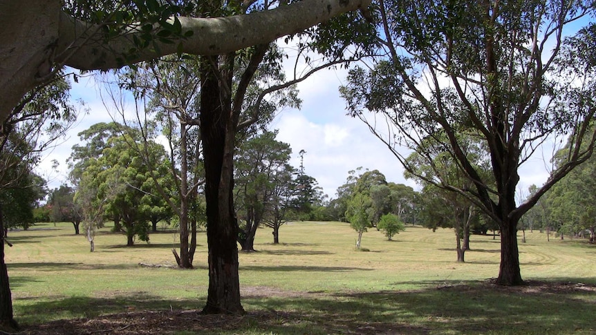 Boomerang Park at Raymond Terrace.