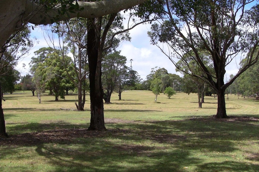 Boomerang Park, Raymond Terrace.