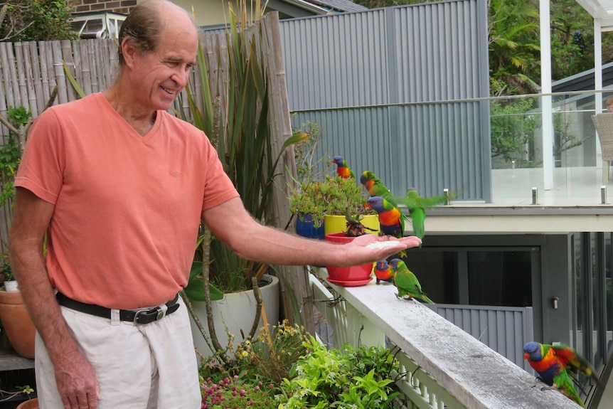 An older man holds out his hand with feed for a group of lorikeets