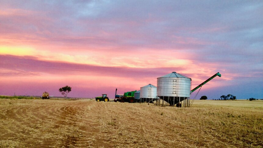 A tractor and silos in a harvested wheat field, with a pink sunset in the background.