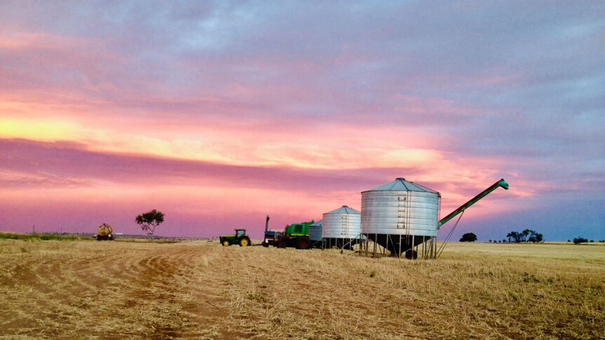 A tractor and silos in a harvested wheat field, with a pink sunset in the background.