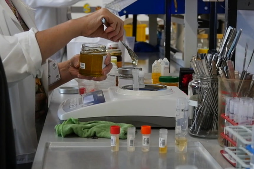 Honey testing at QSI labs in Germany
