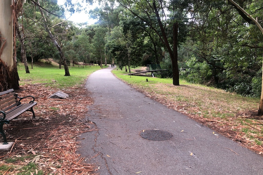 A park with a bitumen path, grass and trees