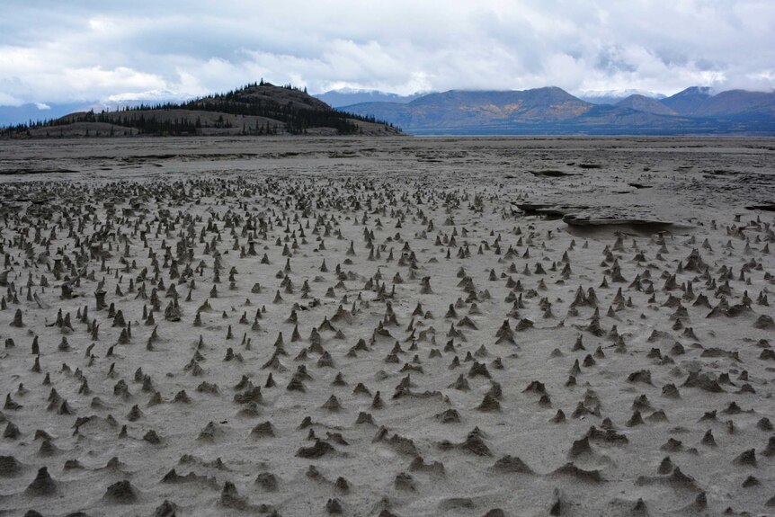 Lake Kluane to the north has reduced inflow after  'river piracy'