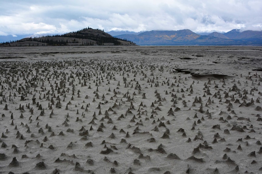 Lake Kluane to the north has reduced inflow after  'river piracy'