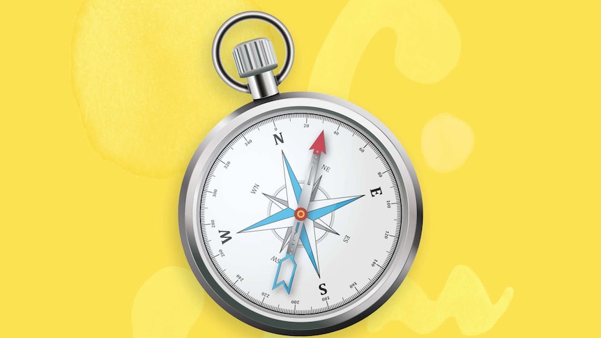 A compass sits on a bright yellow background.