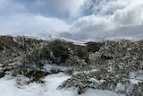 Parts of Kosciuszko National Park will be closed this June Long Weekend