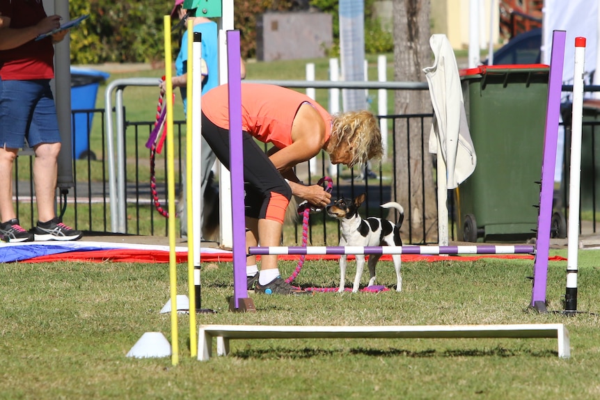 A woman bends down to check her small dog, there are dog obstacles on the grass