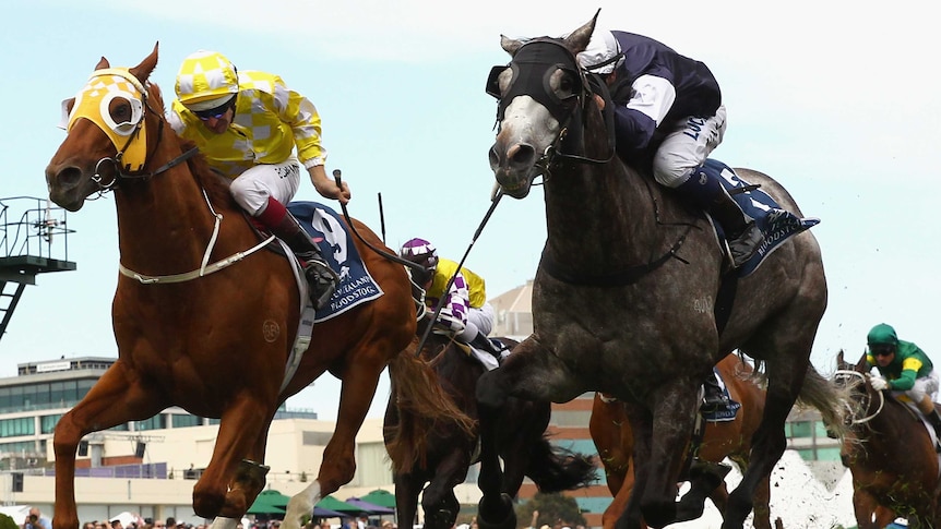 Fawkner wins Caulfield Stakes