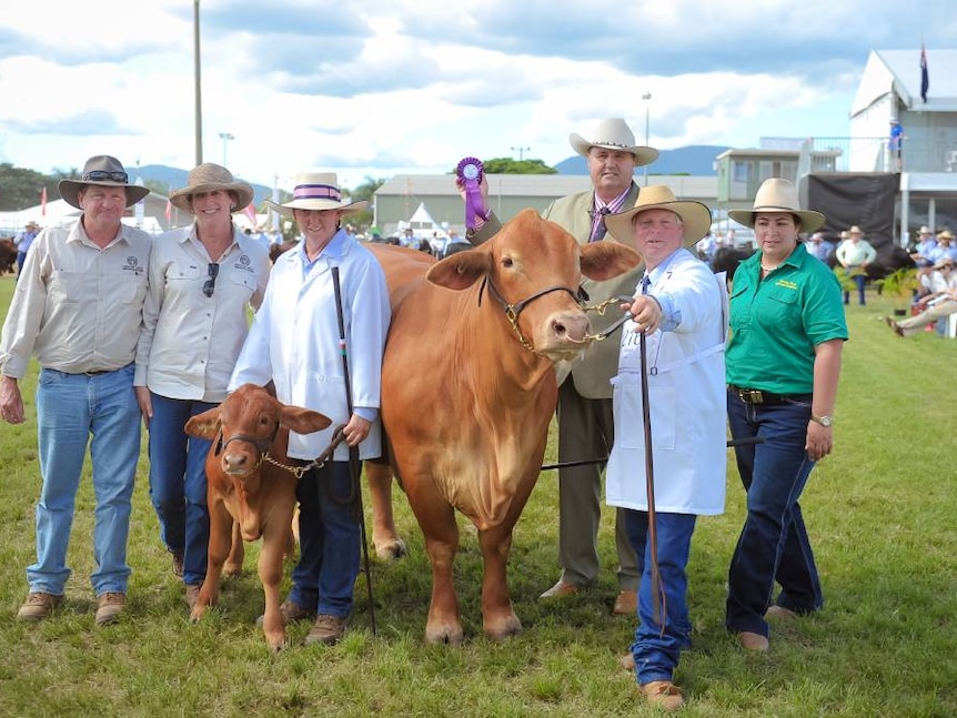 Six adults standing with cow and a calf, all smiling